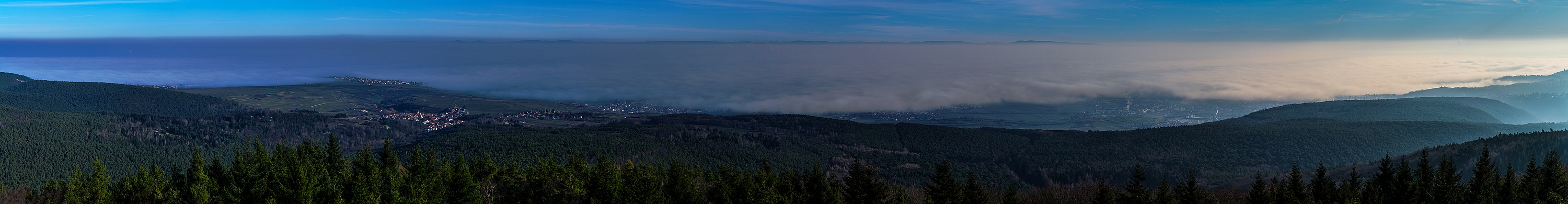 Blick über die Rheinebene vom Bismarckturm