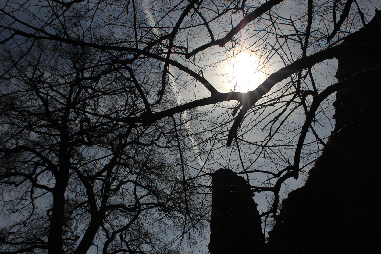 Blick über die Ruine