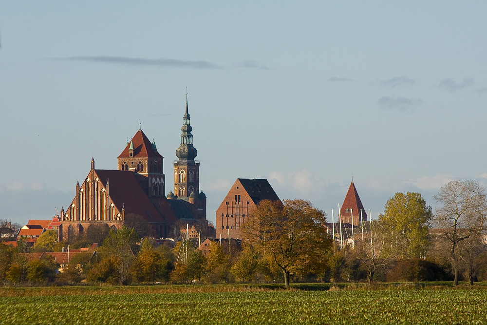 Blick über die Salzwiesen