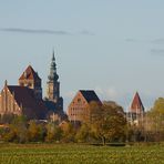 Blick über die Salzwiesen