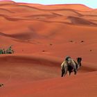 Blick über die Sanddünen, V.A.E.