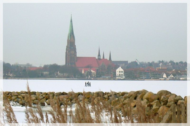 Blick über die Schlei auf den Schleswiger Dom