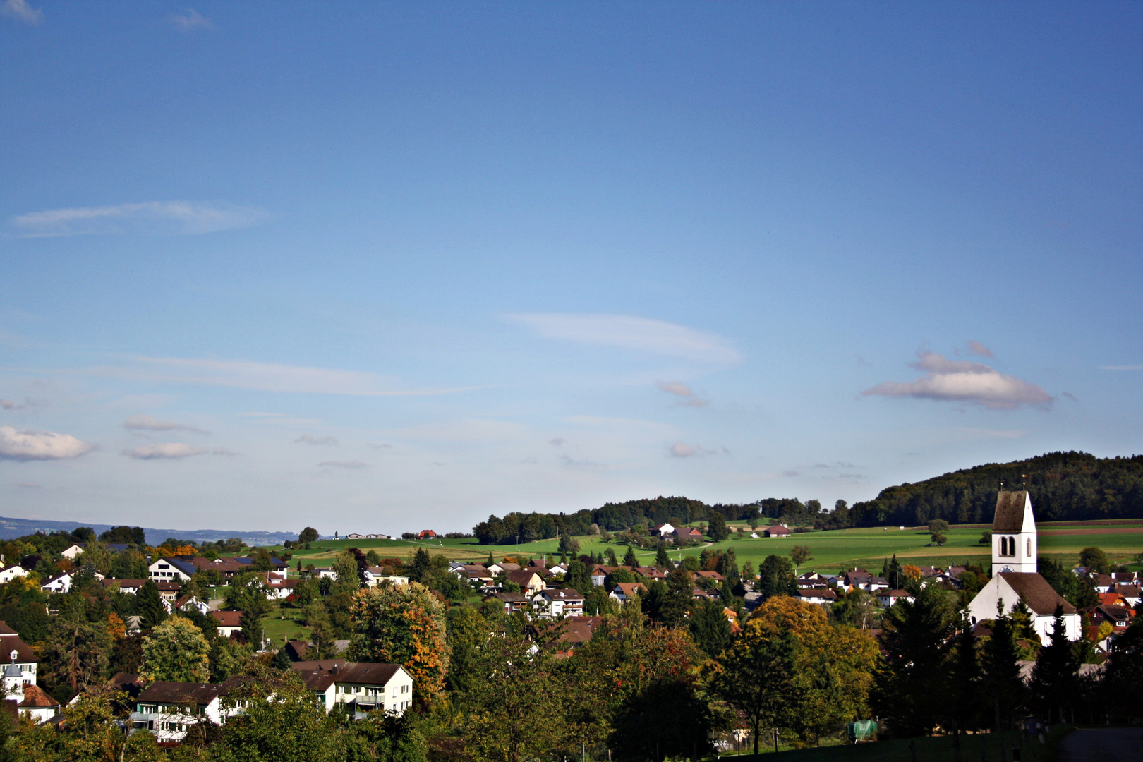 Blick über die schöne Natur in Gachnang