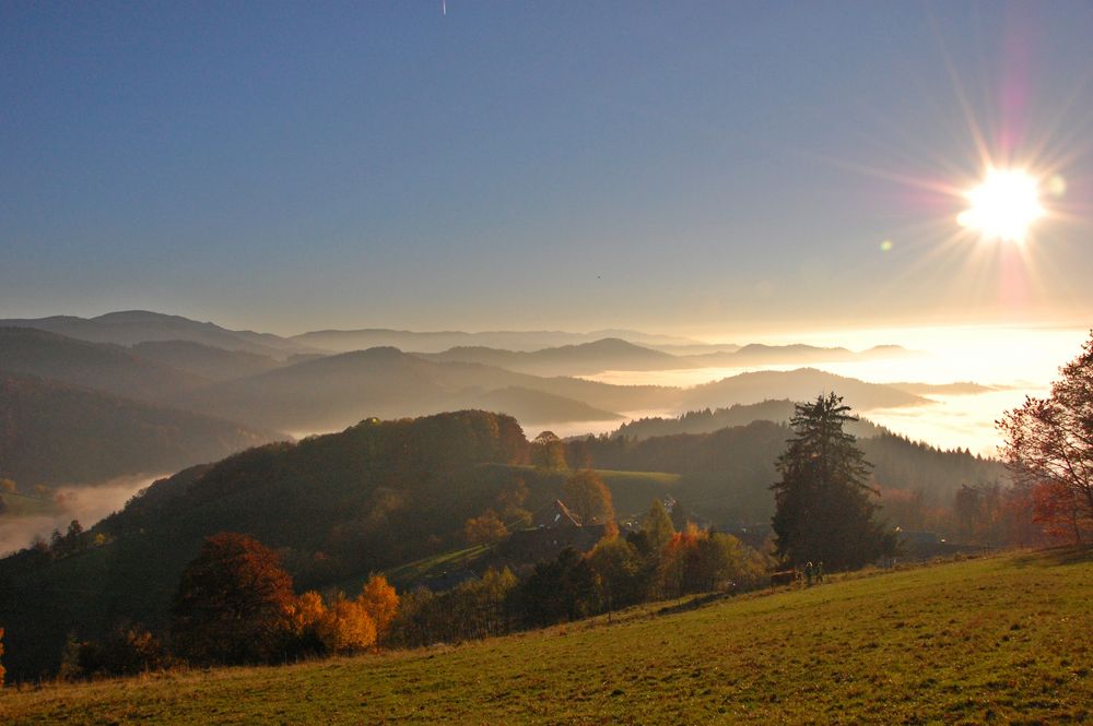 Blick über die Schwarzwaldhöhen in der Nachmittagssonne