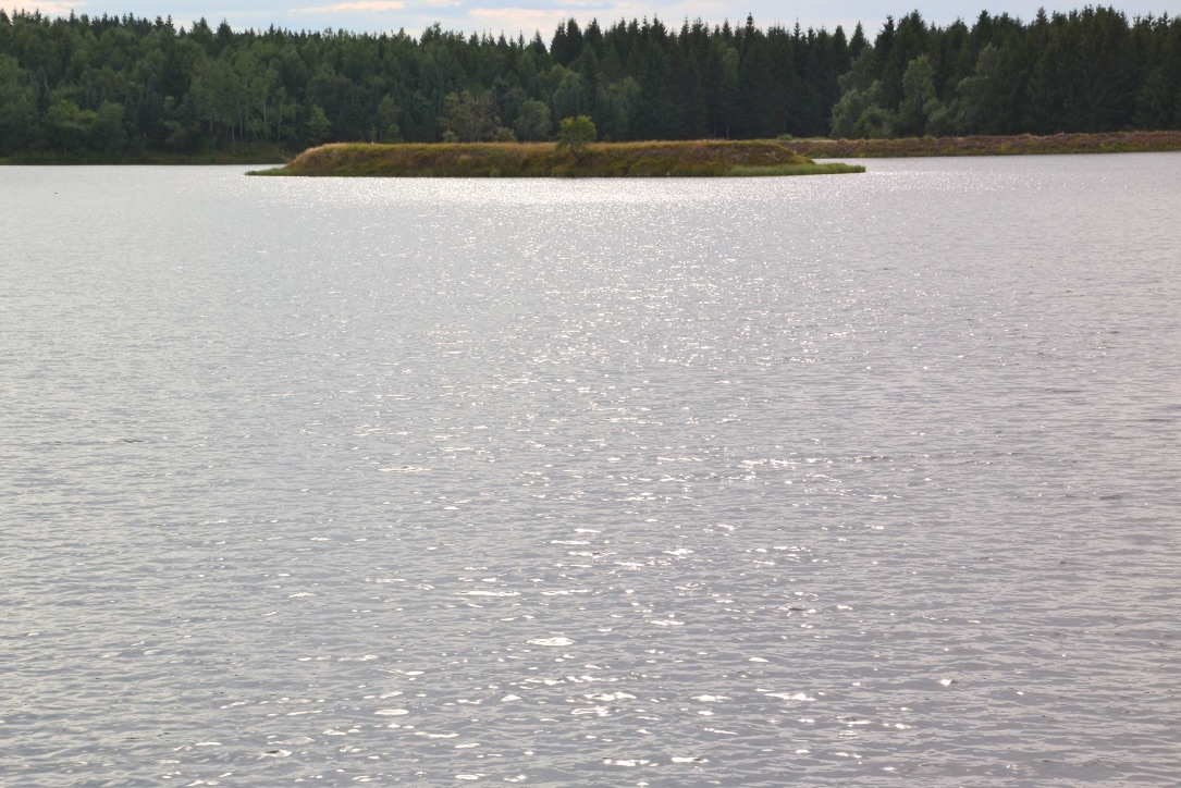 Blick über die Talsperre Malter