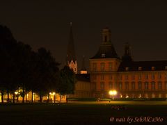 Blick über die Uni zum Bonner Münster