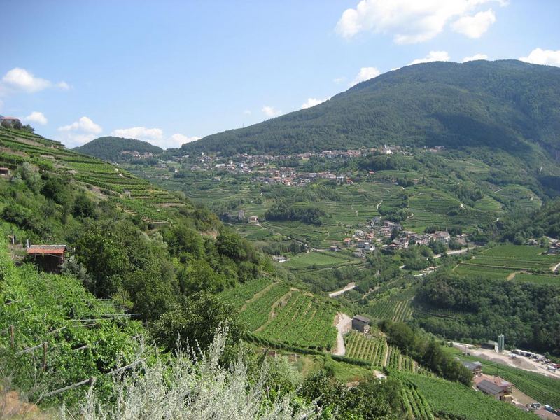 Blick über die Val di Cembra mit Segonzano