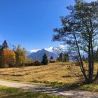 Blick über die vermoorten Wiesen 