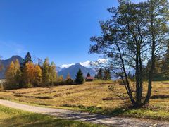 Blick über die vermoorten Wiesen 