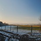 Blick über die Weide