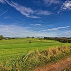 Blick über die Weiden