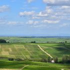 Blick über die Weinberge