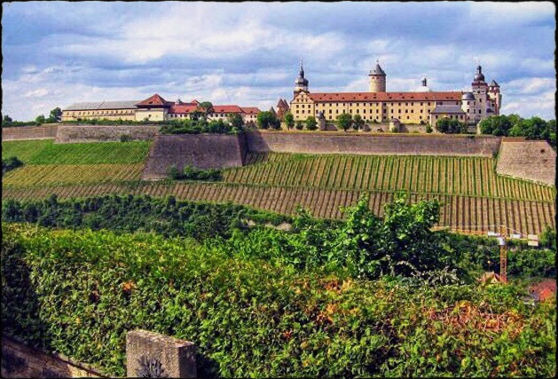 Blick über die Weinberge