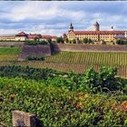 Blick über die Weinberge