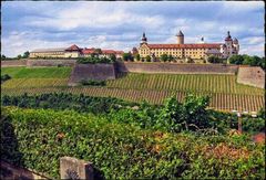 Blick über die Weinberge