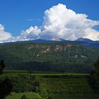 Blick über die Weinberge von Kaltern aus