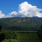 Blick über die Weinberge von Kaltern aus