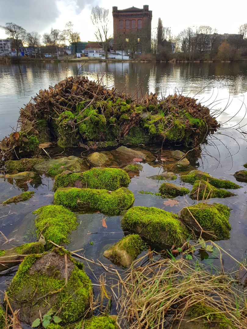 Blick über die Weser