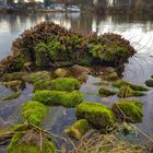 Blick über die Weser