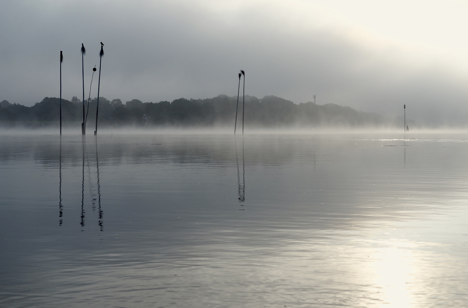 Blick über die Weser....