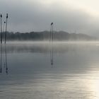 Blick über die Weser....