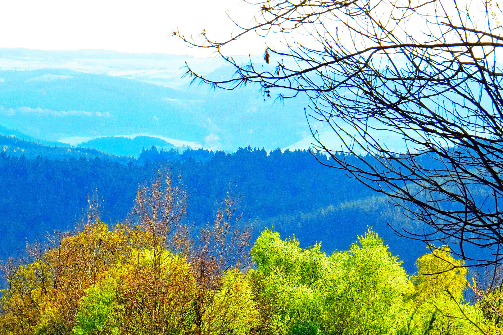 Blick über die Wittgensteiner Berge