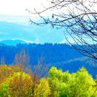 Blick über die Wittgensteiner Berge