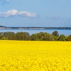 Blick über die Wohlenberger Wiek /Ostsee