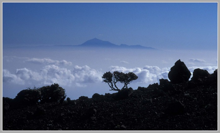 Blick Uber Die Wolken Von La Palma Nach Teneriffa Foto Bild Europe Canary Islands Die Kanaren Spain Bilder Auf Fotocommunity
