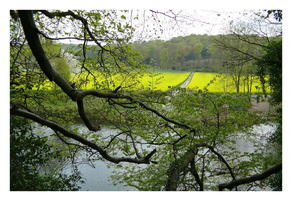 Blick über die Wupper