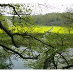 Blick über die Wupper