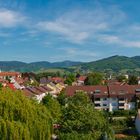 Blick über die Zwetschgenstadt!