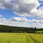 Blick über eine Bergwiese...