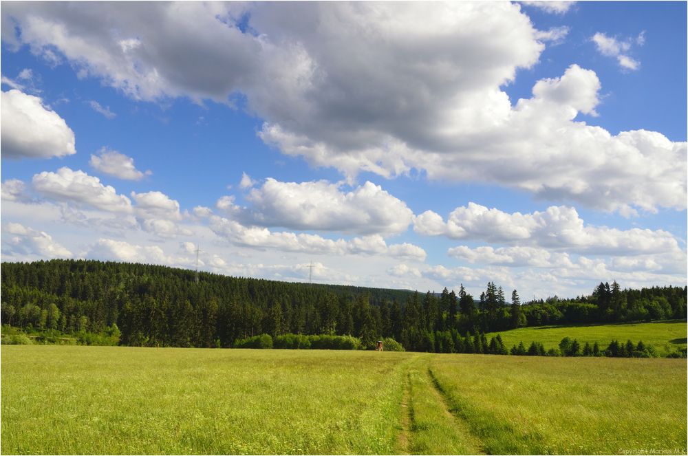 Blick über eine Bergwiese...