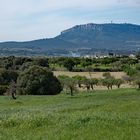 Blick über eine grüne Insel