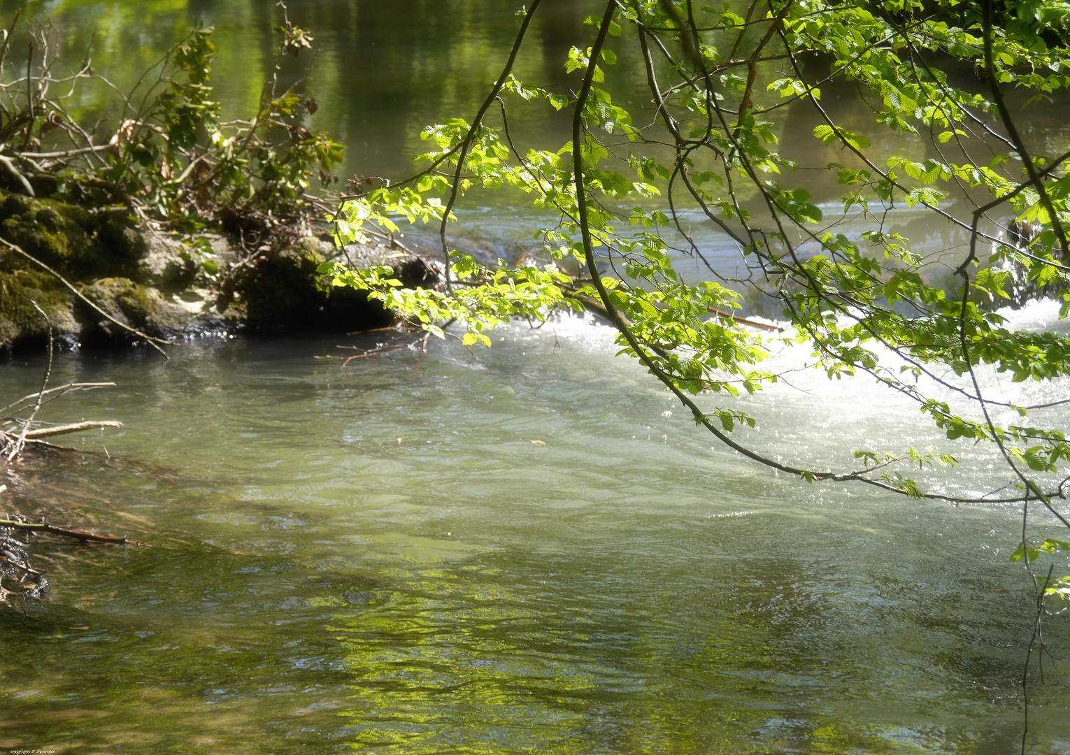 Blick über einen Bach im Neandertal