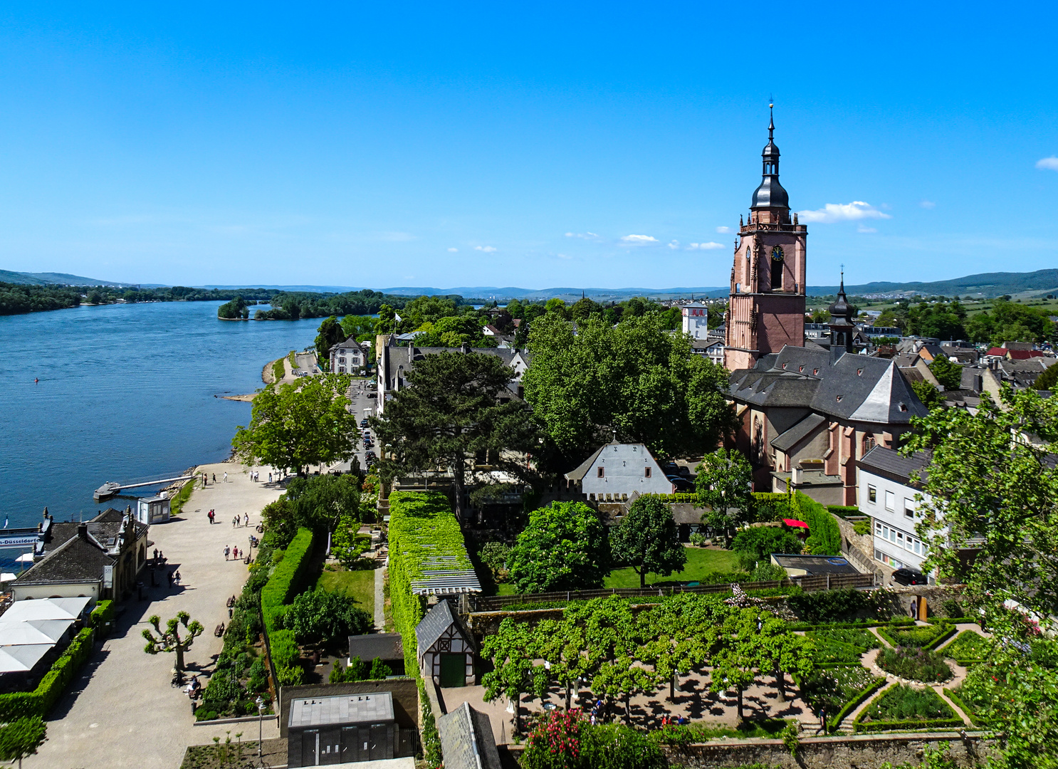 Blick über Eltville am Rhein (1)