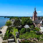 Blick über Eltville am Rhein (1)