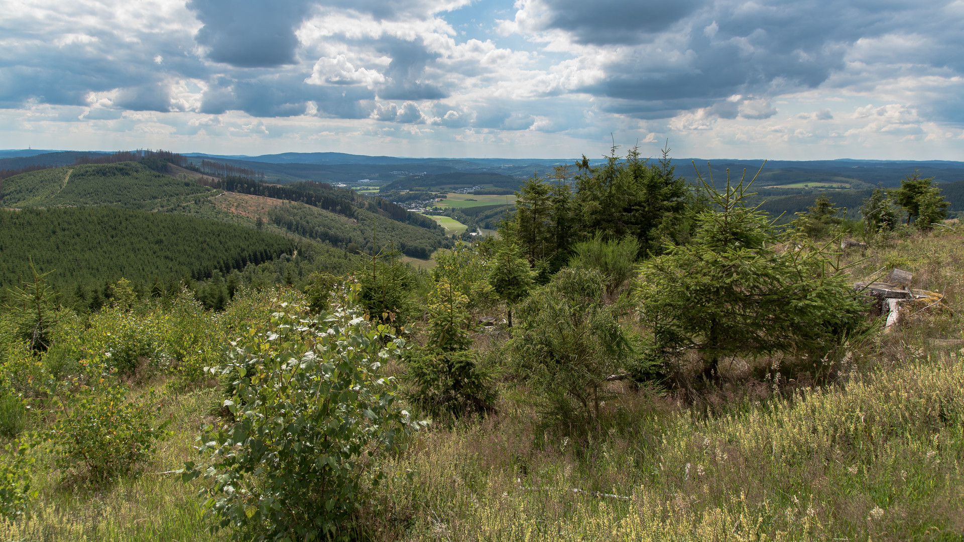 Blick über Eschenbach