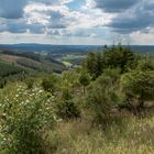 Blick über Eschenbach