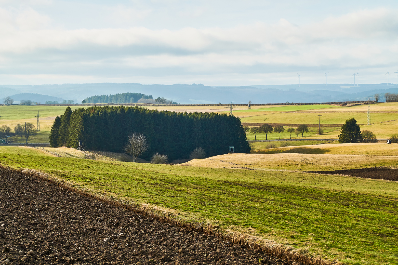 Blick über Feld und Flur