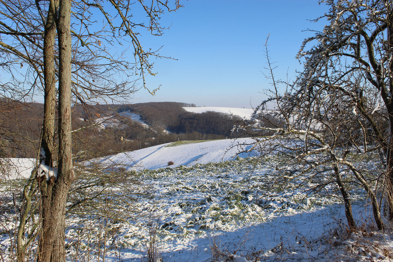 Blick über Felder