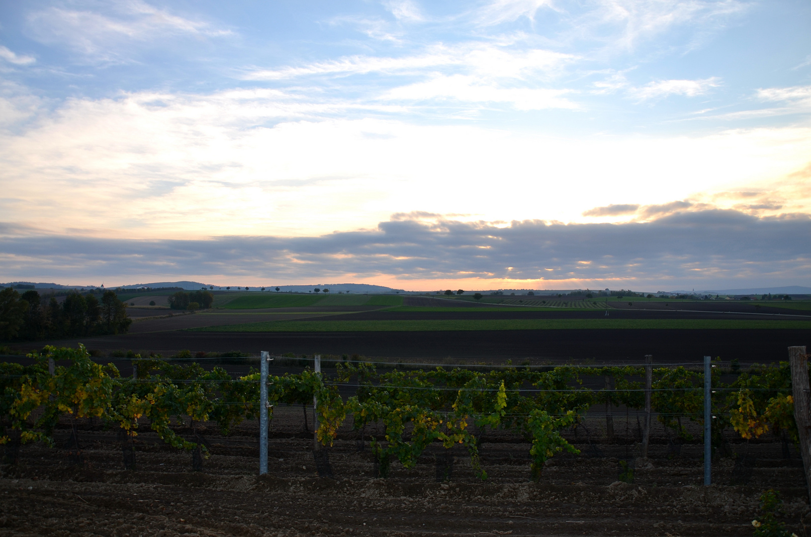 Blick über Felder und Wiesen