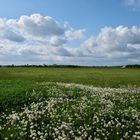 Blick über Felder und Wiesen