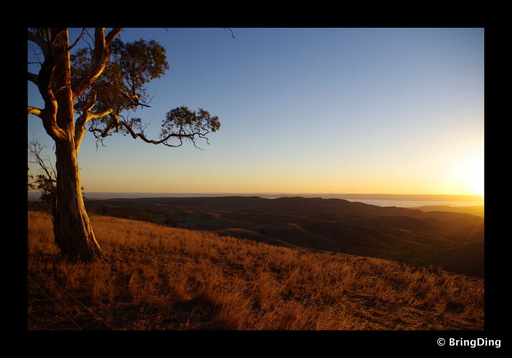 Blick über Flinders Ranges