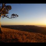 Blick über Flinders Ranges