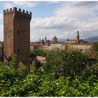 Blick über Florenz