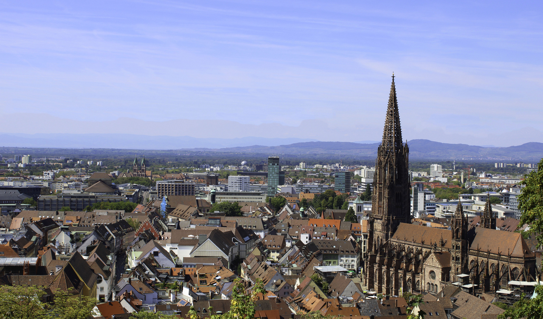 Blick über Freiburg