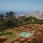 Blick über Funchal...