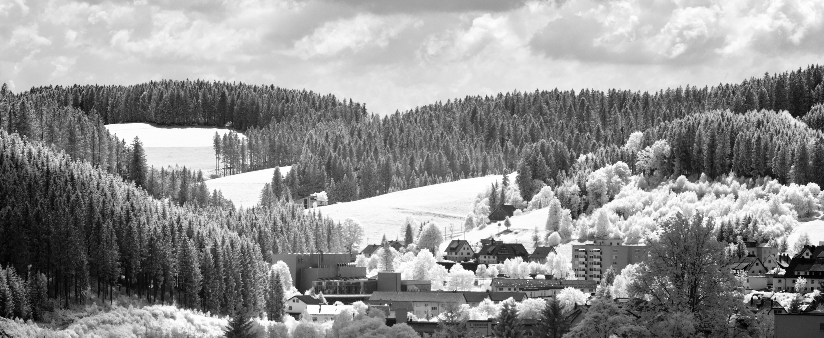 Blick über Furtwangen